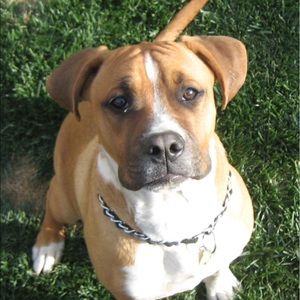 Meet your Posher, Brandon