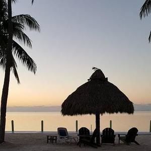 Meet your Posher, Judy