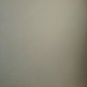 Meet your Posher, Dante