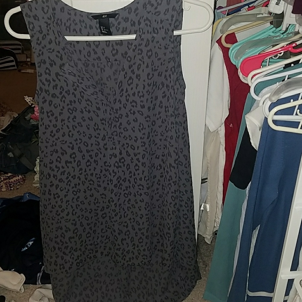 Cheetah Tank