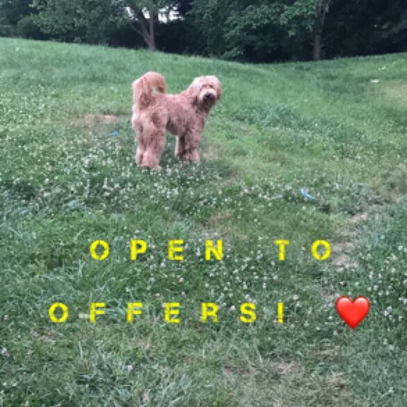 Make your offer ❤️ - Picture 4 of 4