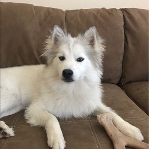 Meet your Posher, Kelli