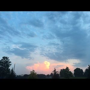 Meet your Posher, Molly