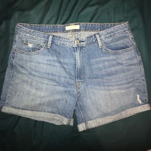 Levi Jean Shorts!! Mid-length, mid-rise