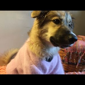 Meet your Posher, Shelby