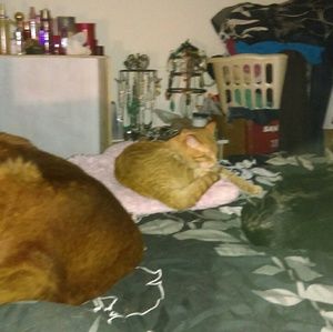 Meet your Posher, Melissa