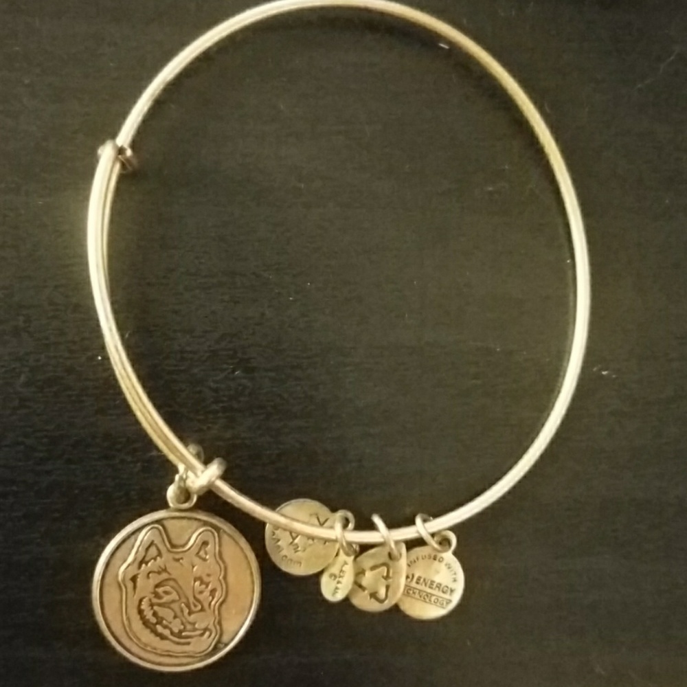 NEU Alex and Ani bracelet
