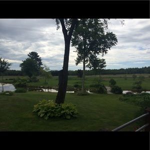 Meet your Posher, Maddie