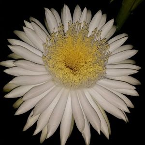 Meet your Posher, Judith