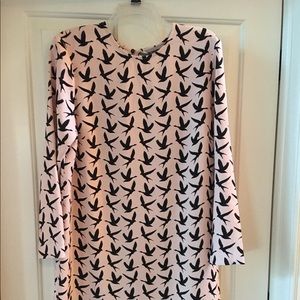 Long sleeve knit dress