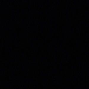 Meet your Posher, Darryl