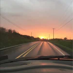 Meet your Posher, Wayne