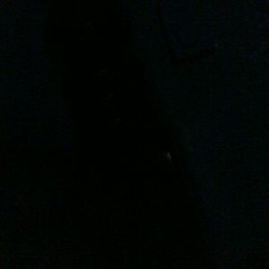 Meet your Posher, Sandy