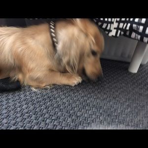 Meet your Posher, Marla