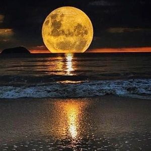 Meet your Posher, Terri