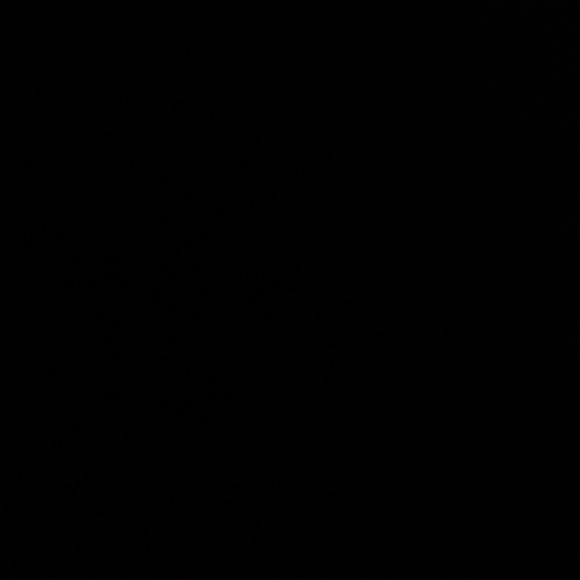 Meet your Posher, Sierra - Picture 1 of 1