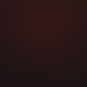 Meet your Posher, Noelle