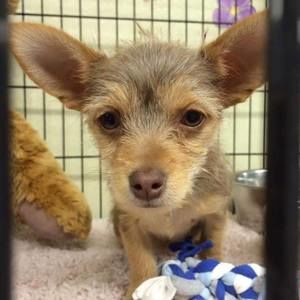 Meet your Posher, Jaime