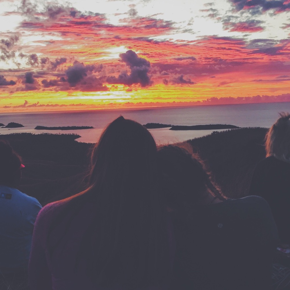 Meet your Posher, Annie