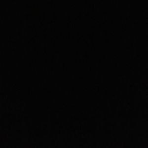 Meet your Posher, Ant