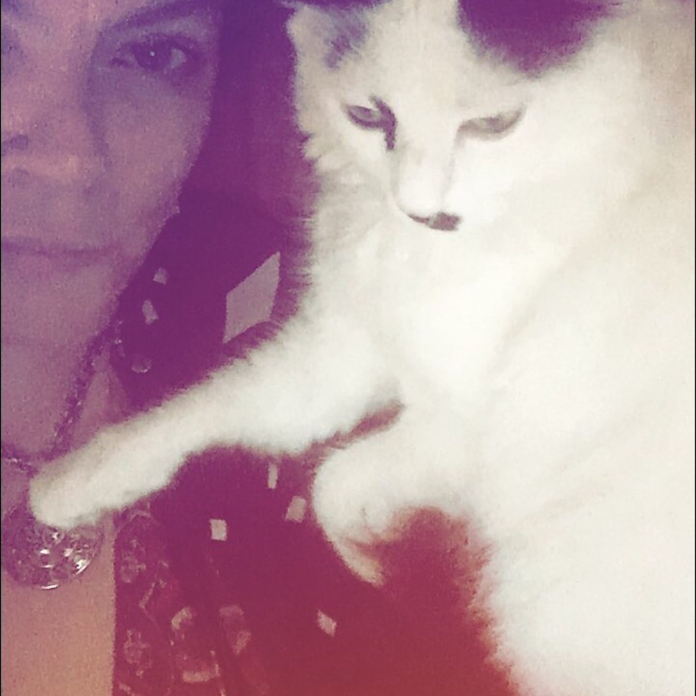 Meet your Posher, Paula