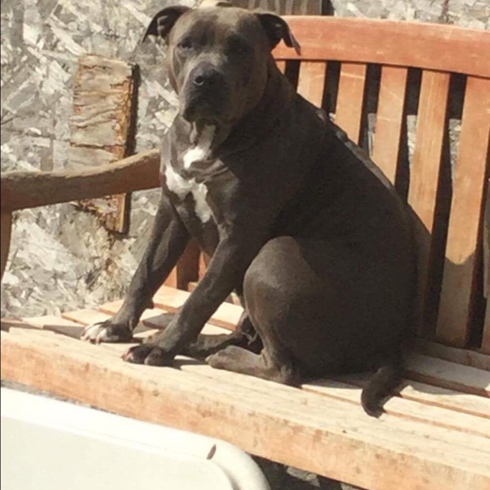 Meet your Posher, Yolanda