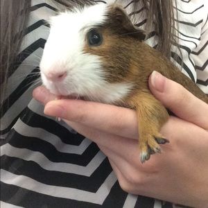 Meet your Posher, Emily