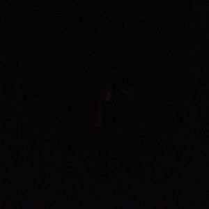 Meet your Posher, Rori