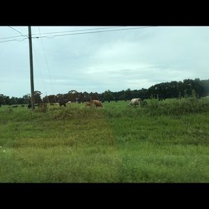 Meet your Posher, Jay