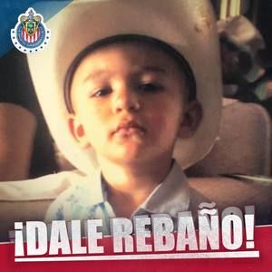 Meet your Posher, Damian