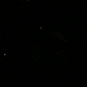 Meet your Posher, Abeer