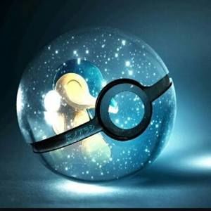 Meet your Posher, Zachary