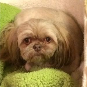 Meet your Posher, Staci