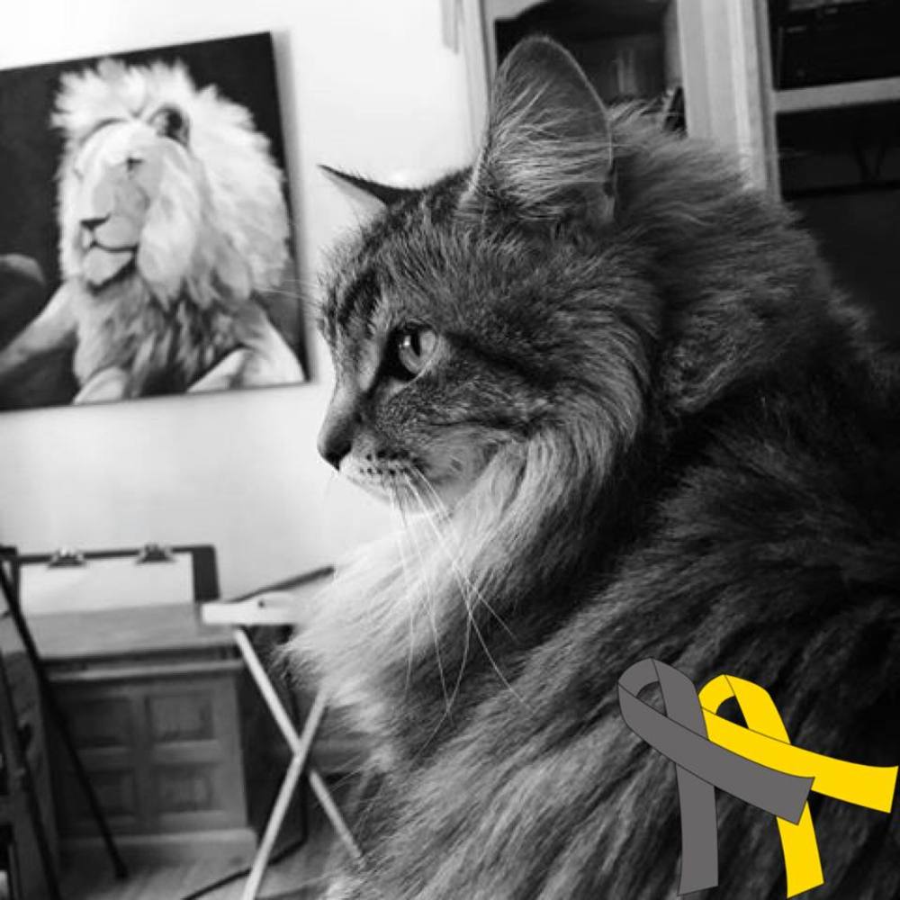 Meet your Posher, Julie