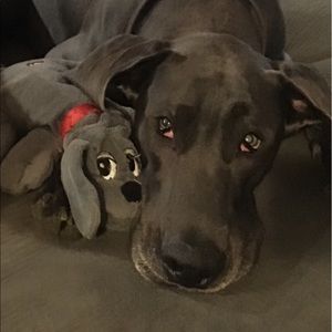 Meet your Posher, Terry