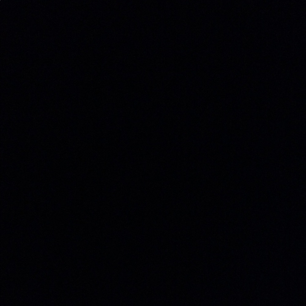 Meet your Posher, Savannah