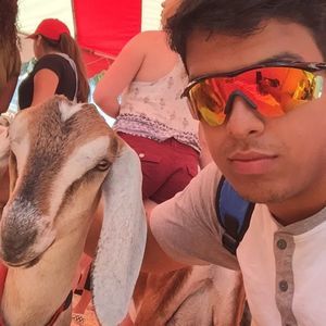 Meet your Posher, Mel