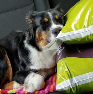 Meet your Posher, Maya