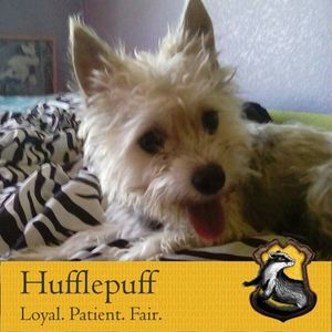 Meet your Posher, Hailey