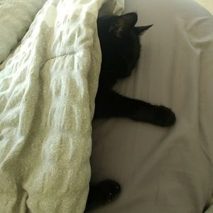 Meet your Posher, Erin