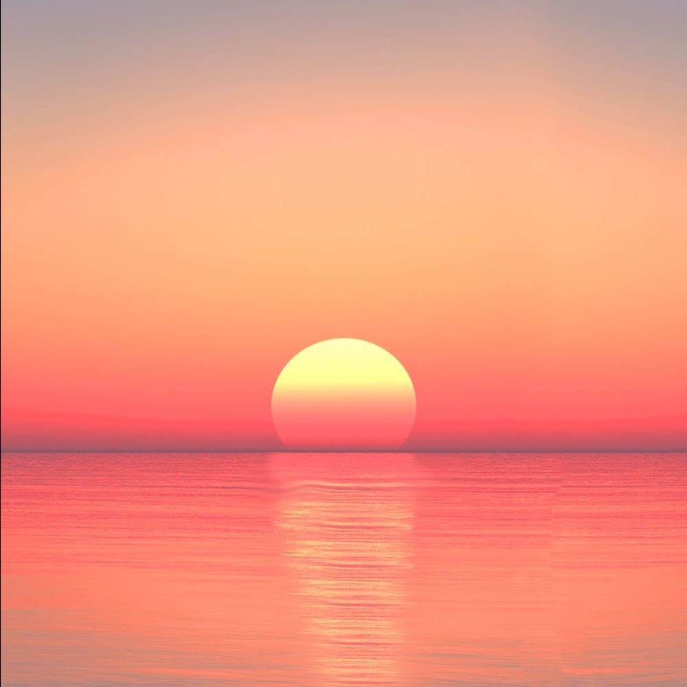 Meet your Posher, Mari