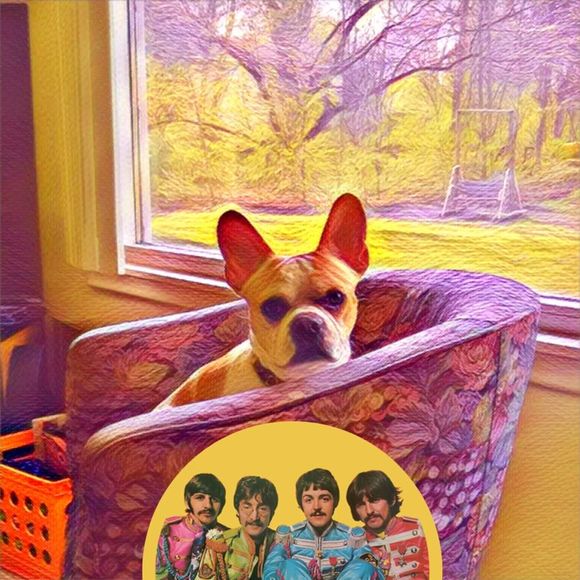 Meet your Posher, Staci - Picture 1 of 1