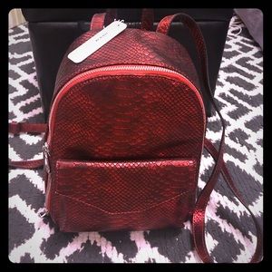 Charming Charlie, red backpack.