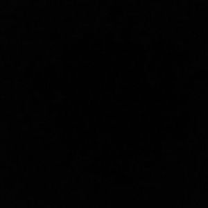 Meet your Posher, Samuel