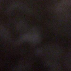 Meet your Posher, Orlando