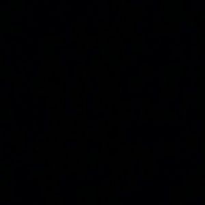 Meet your Posher, Cesar