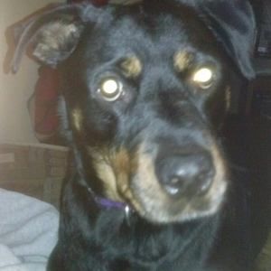 Meet your Posher, Lynn