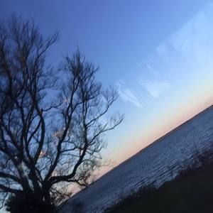 Meet your Posher, Seni