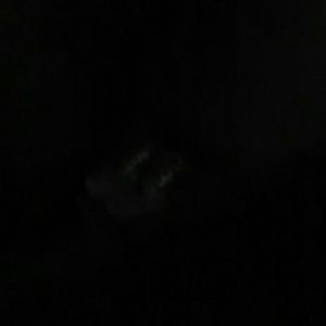 Meet your Posher, Sheila