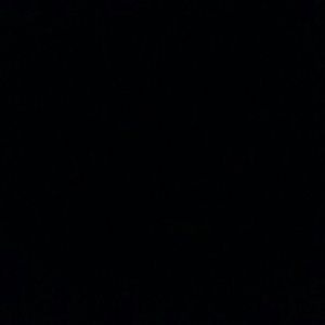 Meet your Posher, Stella